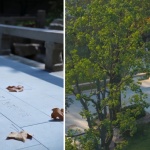 苏州市浒墅关大运河蚕桑学校旧址文化公园（西陵堂公园）景观设计项目 / 苏州溯园六计建筑设计事务所有限公司+中建华夏国际设计有限公司+中国建筑西北设计研究院有限公司