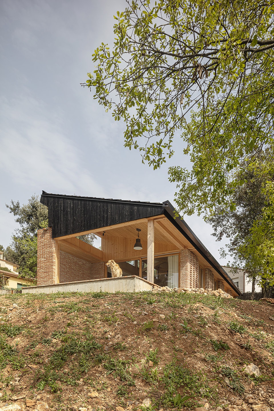 casa ge by alventosa morell arquitectes