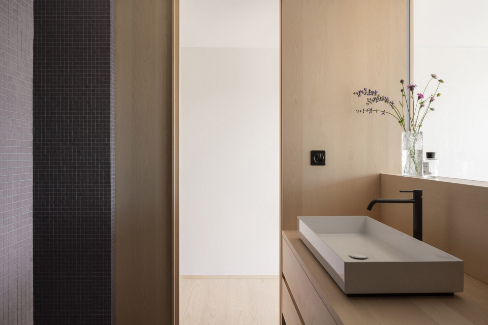 apartment msh by ralph germann architectes
