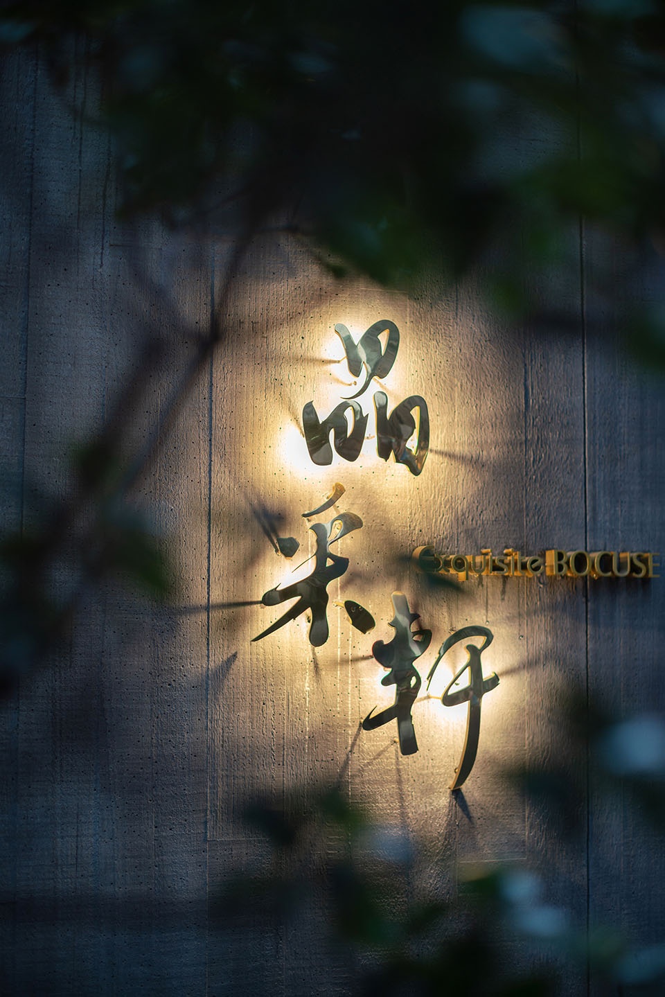 放盐 晶采轩深圳黑金店 东仓建设