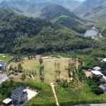 青山之弦 – 「在青山·群响艺术季」主舞台装置，杭州 / SODA建筑师事务所