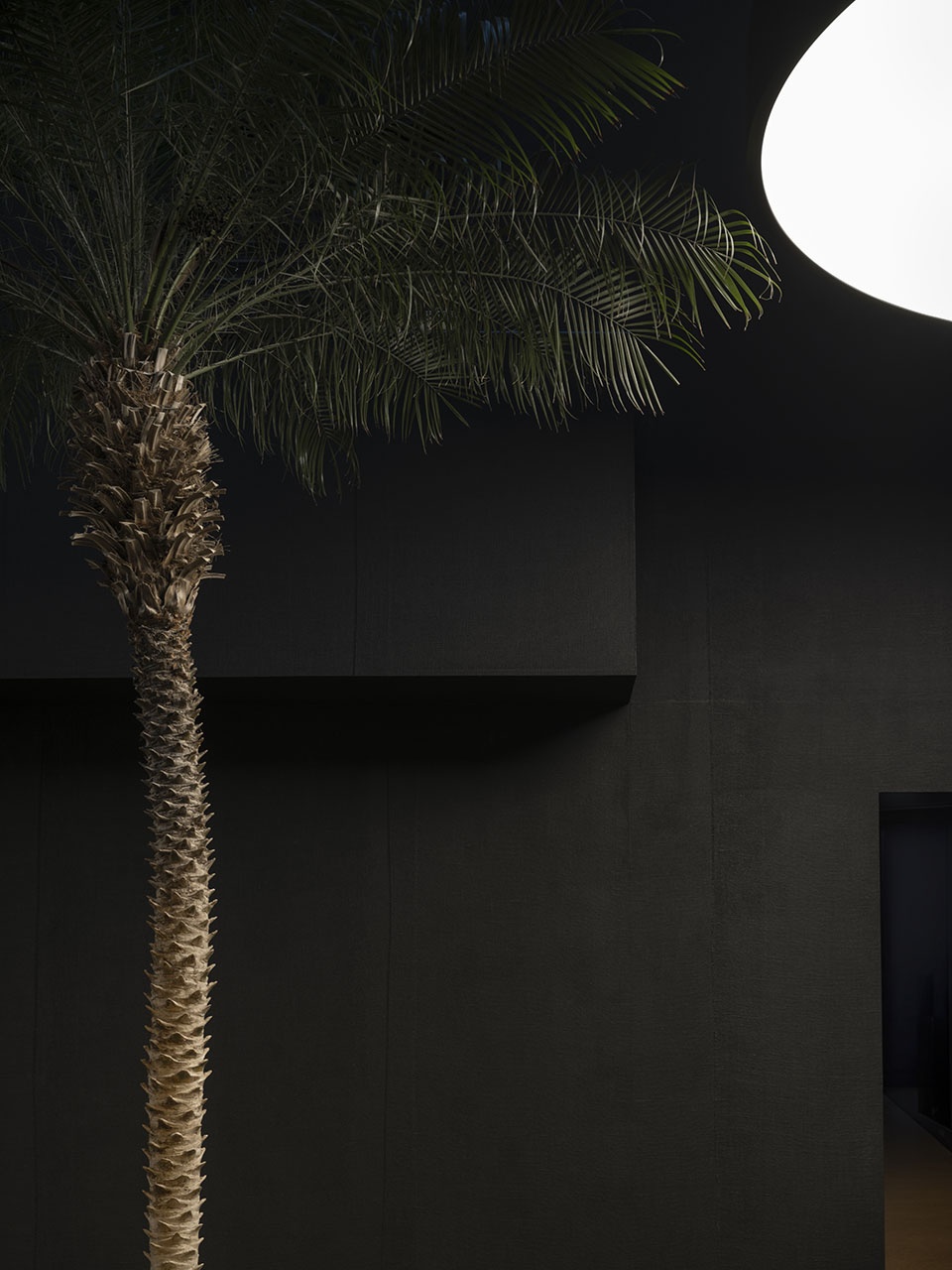 FILM NOIR Leopold Banchini Architects Giona Bierens de Haa