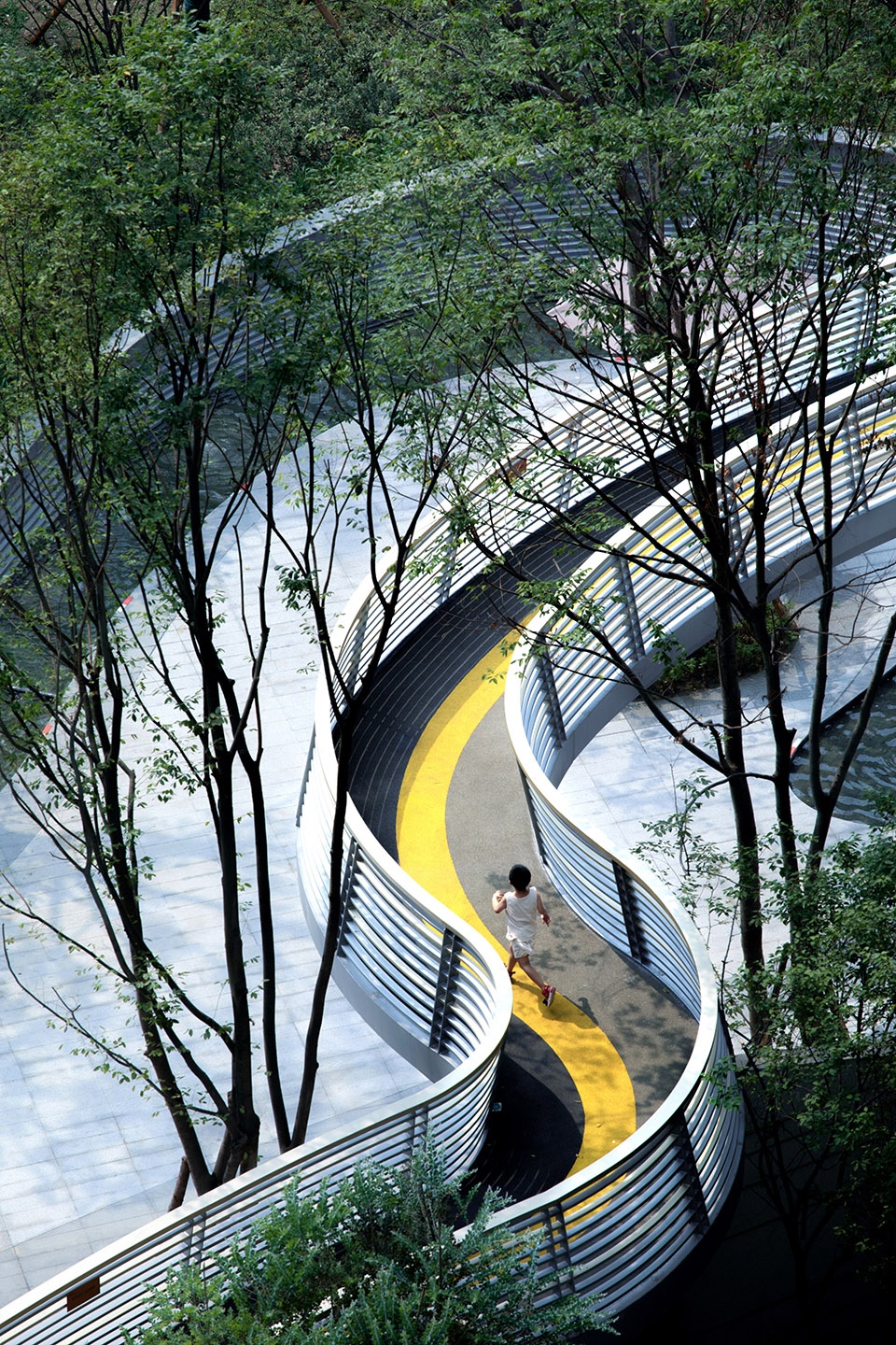 huanhua pedigree by tk studio
