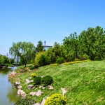 “五水绕城”生态环境提升项目，青岛 / 青岛市市政工程设计研究院有限责任公司