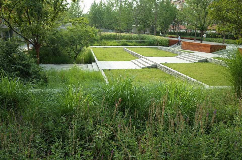 西安欧亚学院 张唐景观