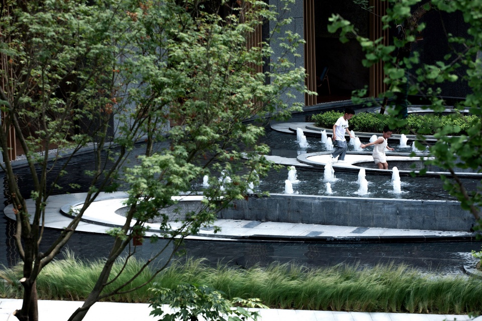 huanhua pedigree by tk studio