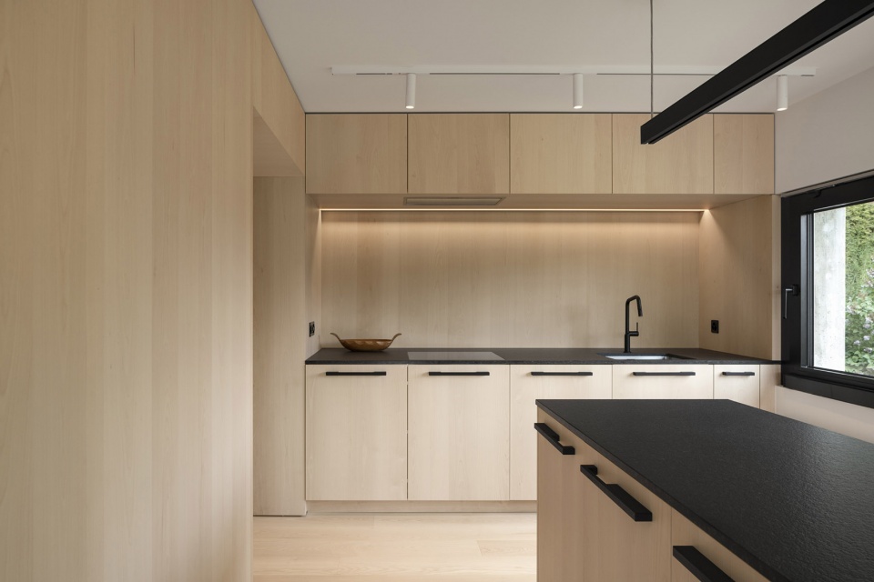 apartment msh by ralph germann architectes