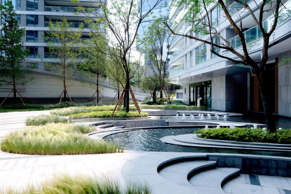 huanhua pedigree by tk studio