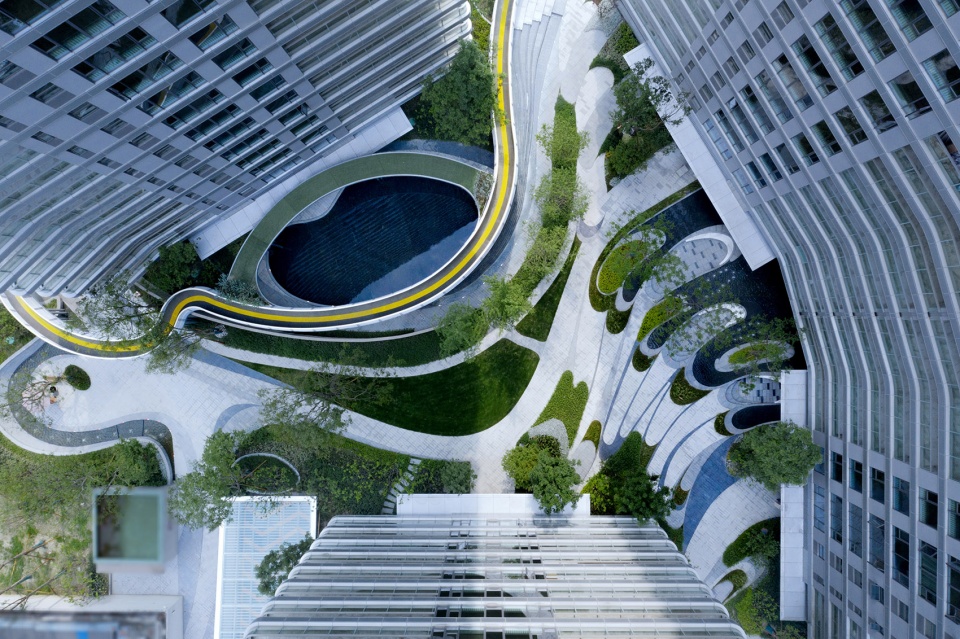huanhua pedigree by tk studio