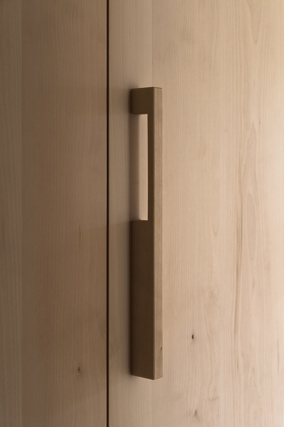 apartment msh by ralph germann architectes