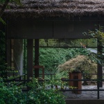 松茗园，上海 / 未相景观