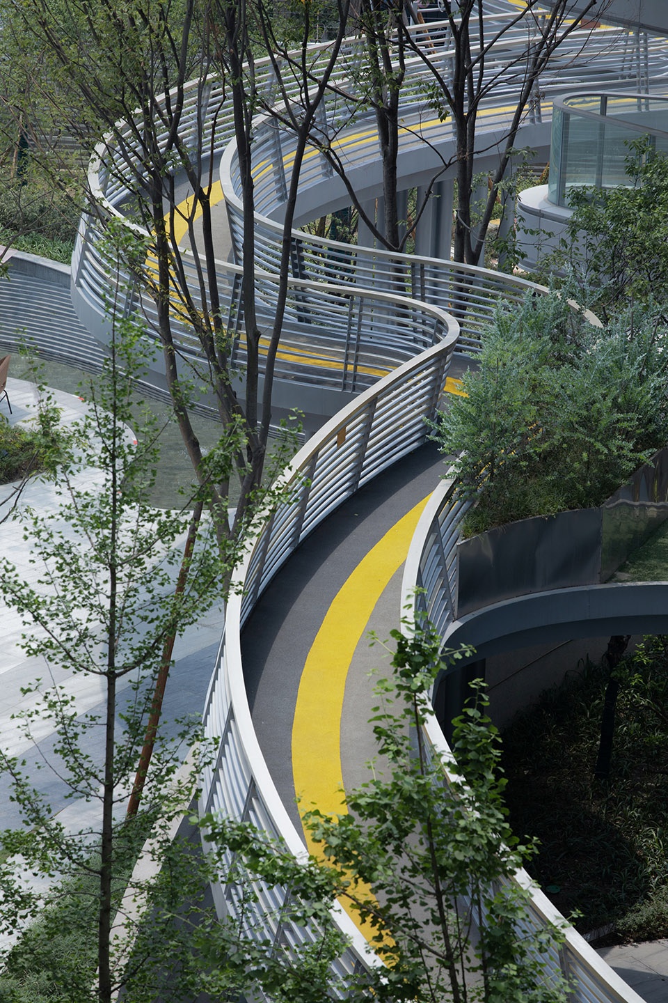 huanhua pedigree by tk studio