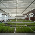 Beijing Huairou Science City Changcheng Haina Incubator by Perkins&Will