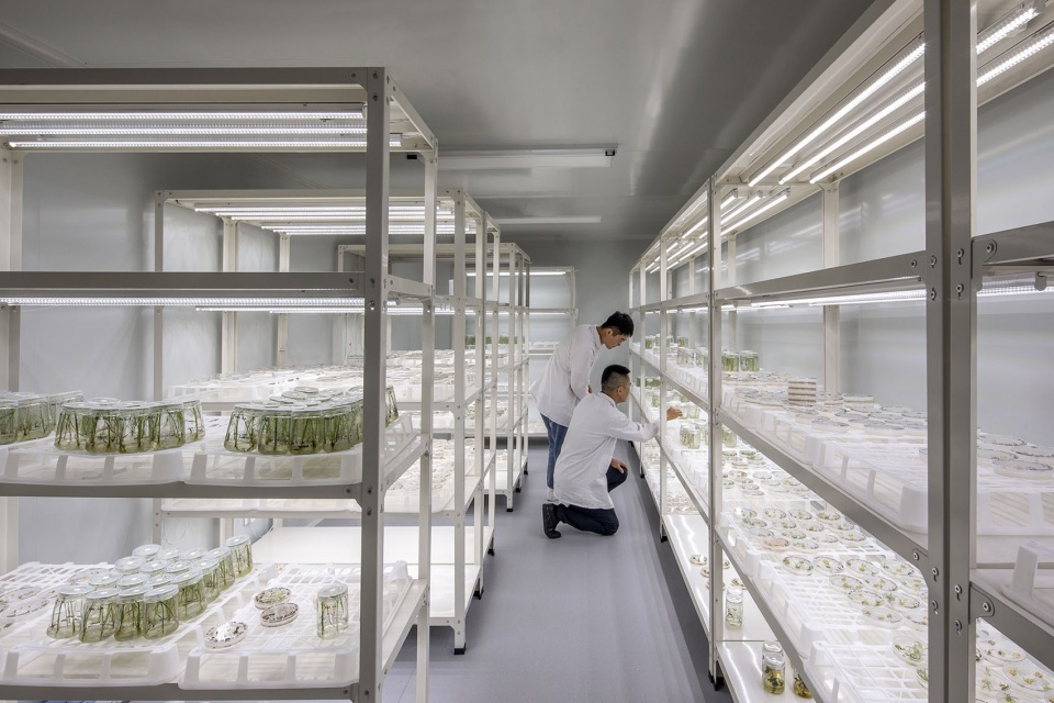 北京怀柔科学城长城海纳加速器 PerkinsWill