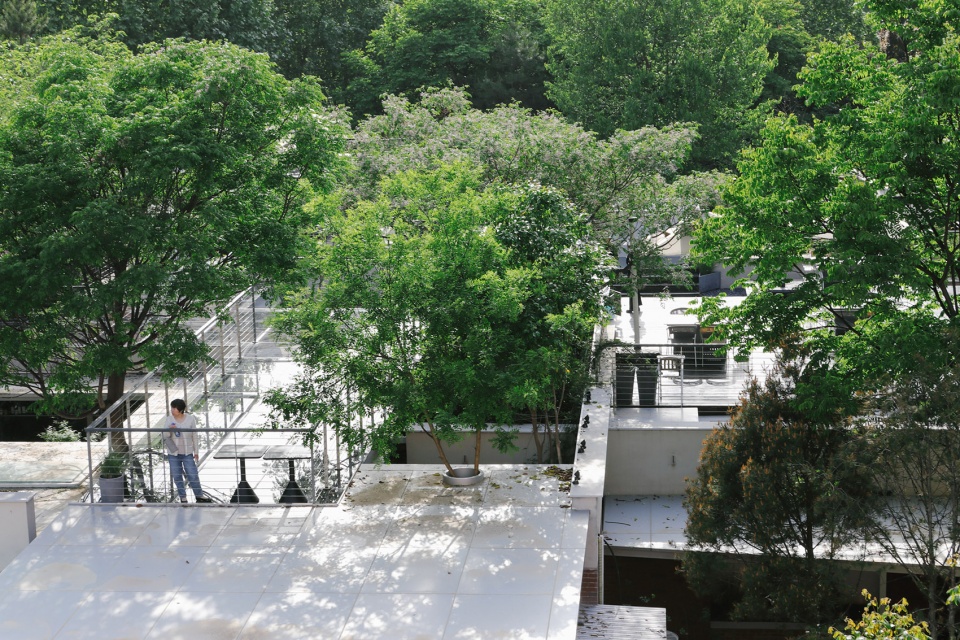 renovation and renewal of public service facilities in xi an urban sports park by wall architects