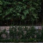 松茗园，上海 / 未相景观