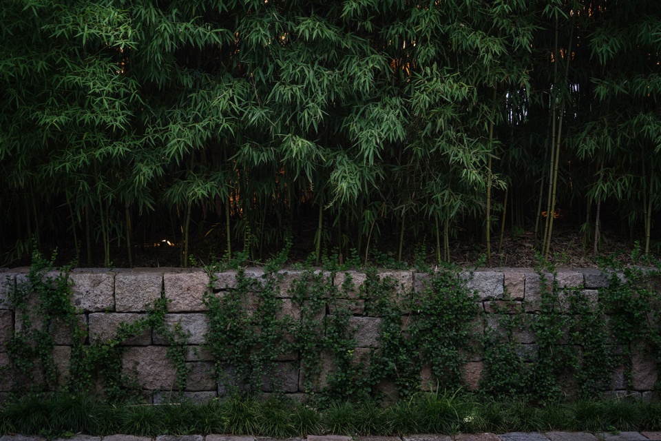 松茗园 未相景观