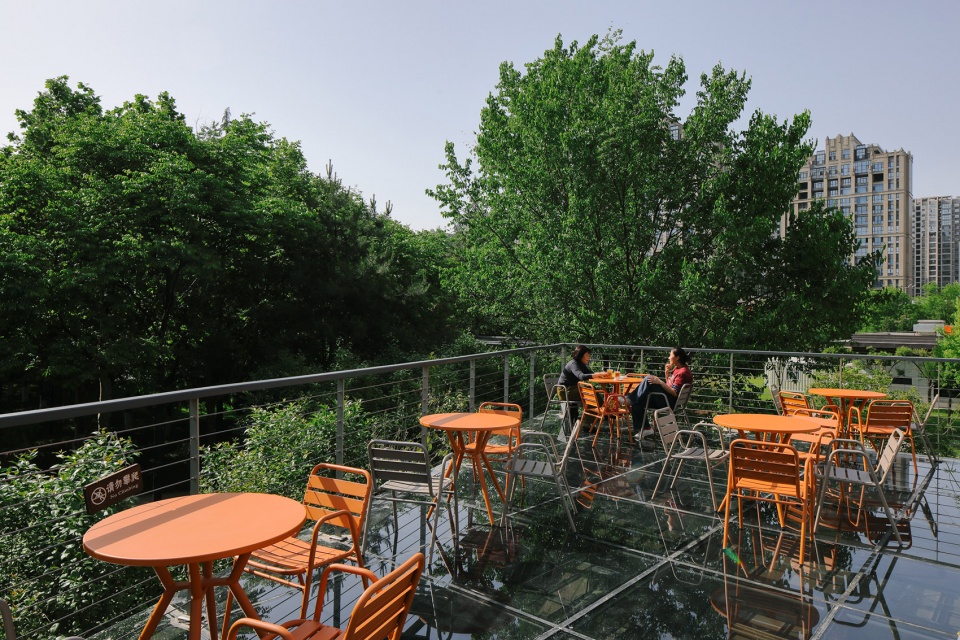 renovation and renewal of public service facilities in xi an urban sports park by wall architects