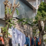 附近档口 - 顺德碧江古村清朝当铺改造，佛山 / 泥木建筑工作室