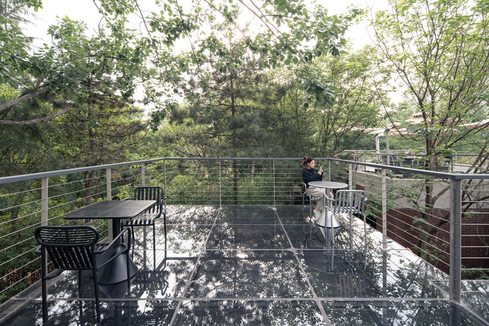 renovation and renewal of public service facilities in xi an urban sports park by wall architects