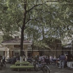 附近档口 - 顺德碧江古村清朝当铺改造，佛山 / 泥木建筑工作室