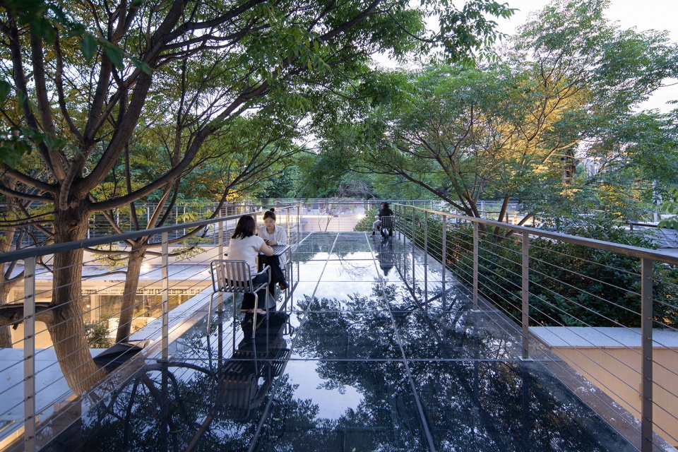 renovation and renewal of public service facilities in xi an urban sports park by wall architects