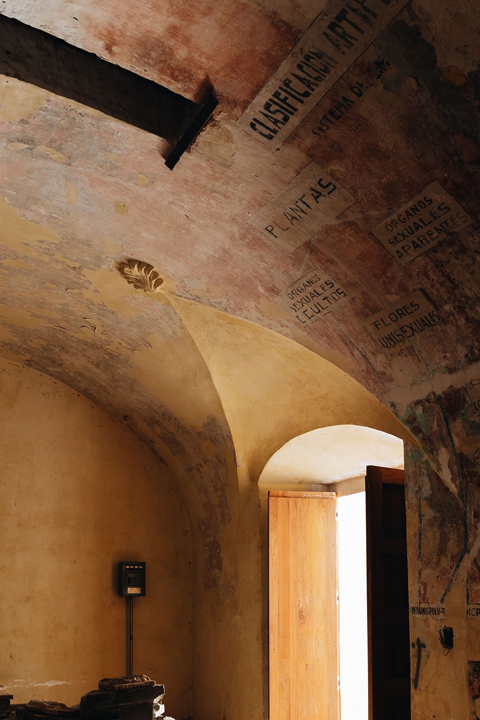 OAXACAS GASTRONOMIC CENTER RootStudio