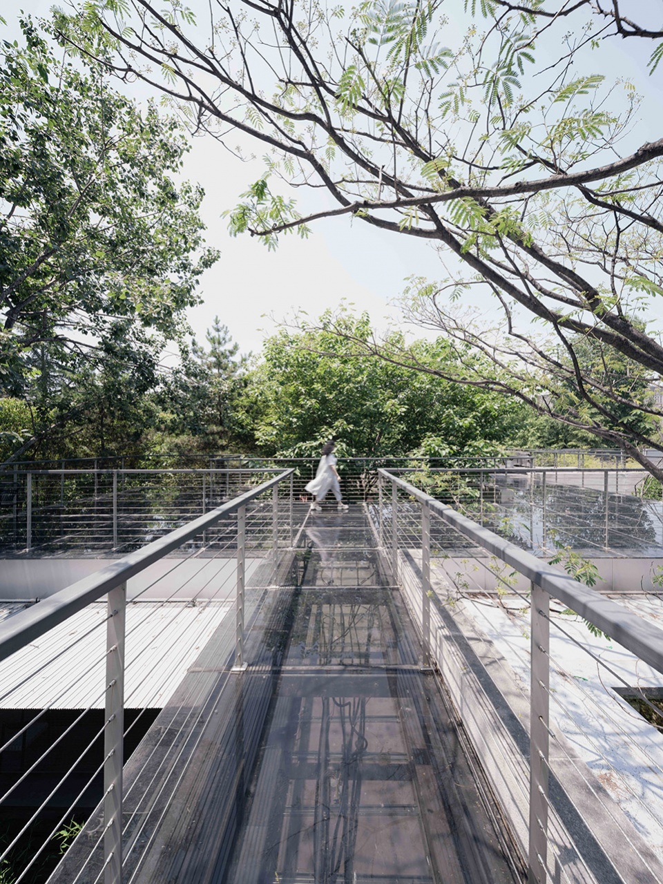 renovation and renewal of public service facilities in xi an urban sports park by wall architects