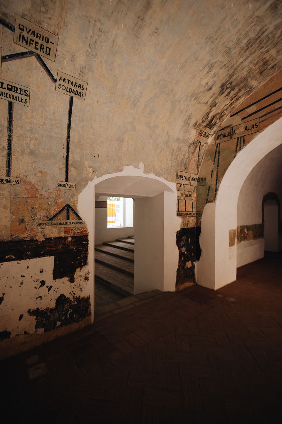 OAXACAS GASTRONOMIC CENTER RootStudio