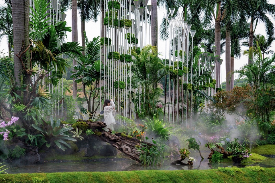沉浸的自然游园体验 © YX Studio Immersive garden tour © YX Studio