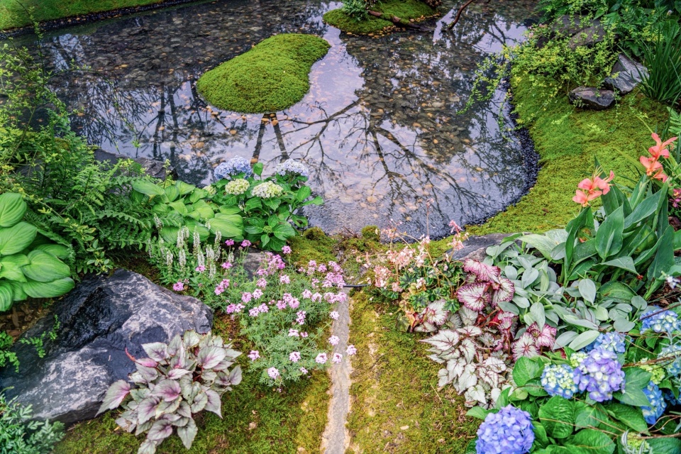 秋海棠聚落 © 反光镜摄影A dazzling plant community featuring Begonia in the garden © Reflector Studio