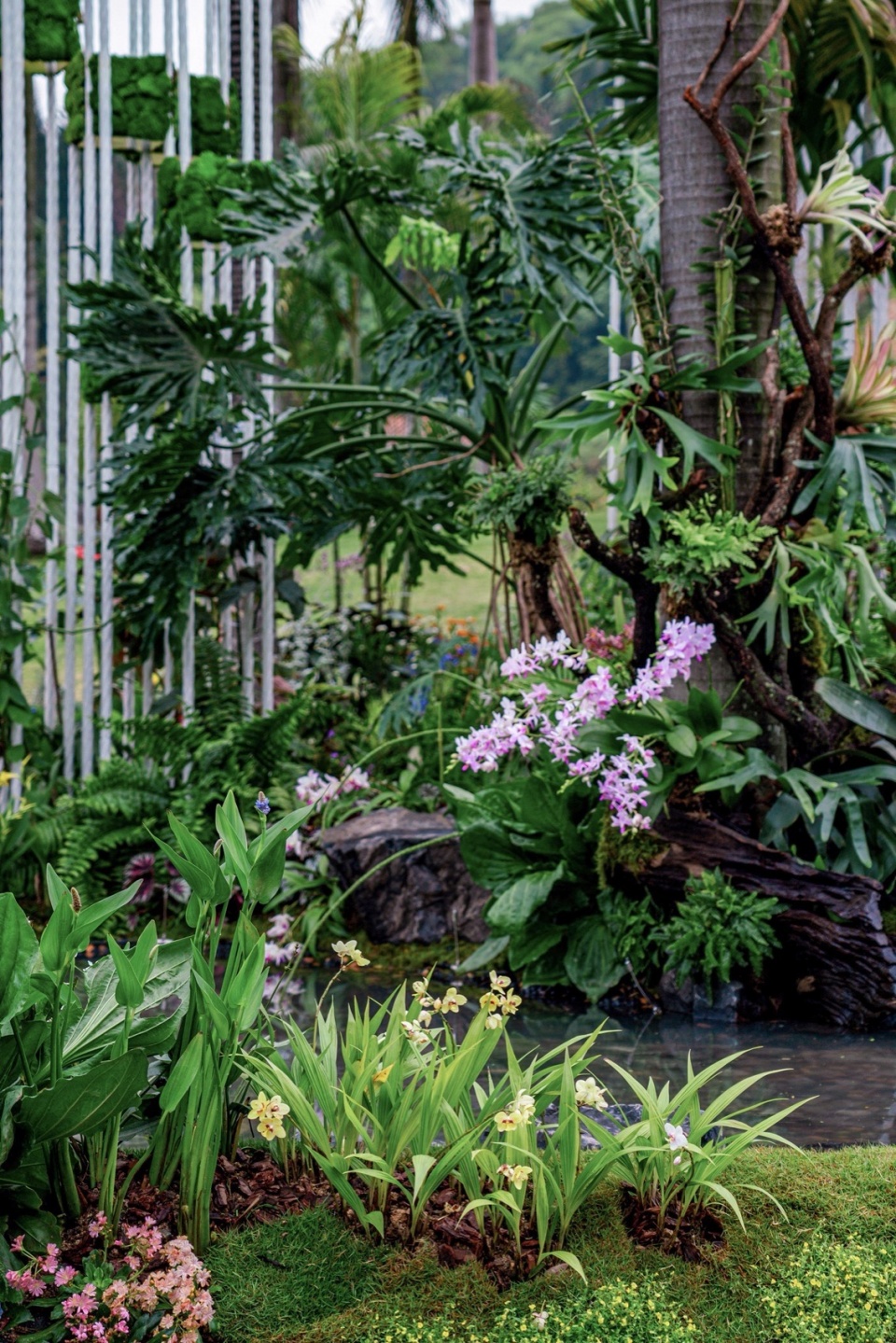植物的多样性与蓬勃的生命力 © 反光镜摄影 The vitality of plant diversity © Reflector Studio