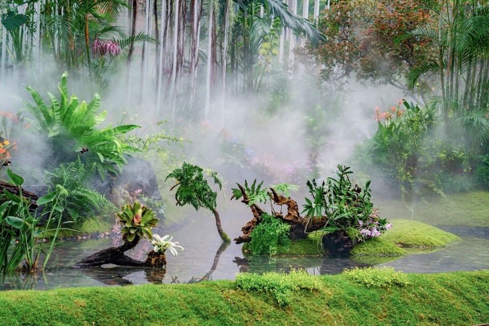 多样共荣的生境 © 反光镜摄影 A garden brimming with biodiversity © Reflector Studio