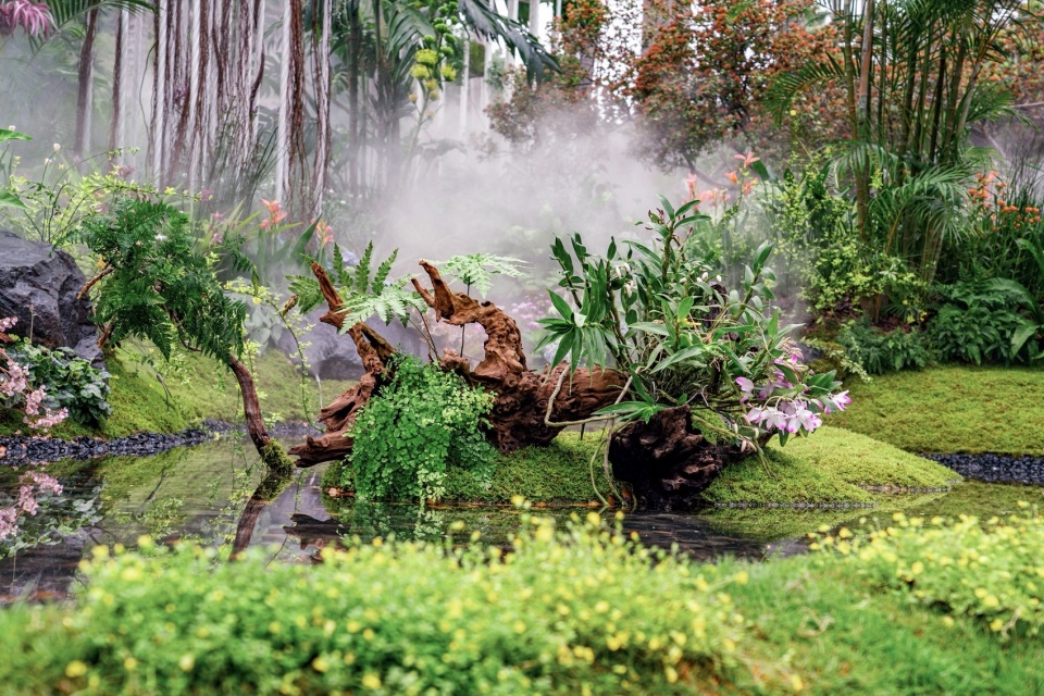 枯木结合绿植,塑造生机园景 © 反光镜摄影 Dead wood adds interest and character to the garden together with vegetation © Reflector Studio