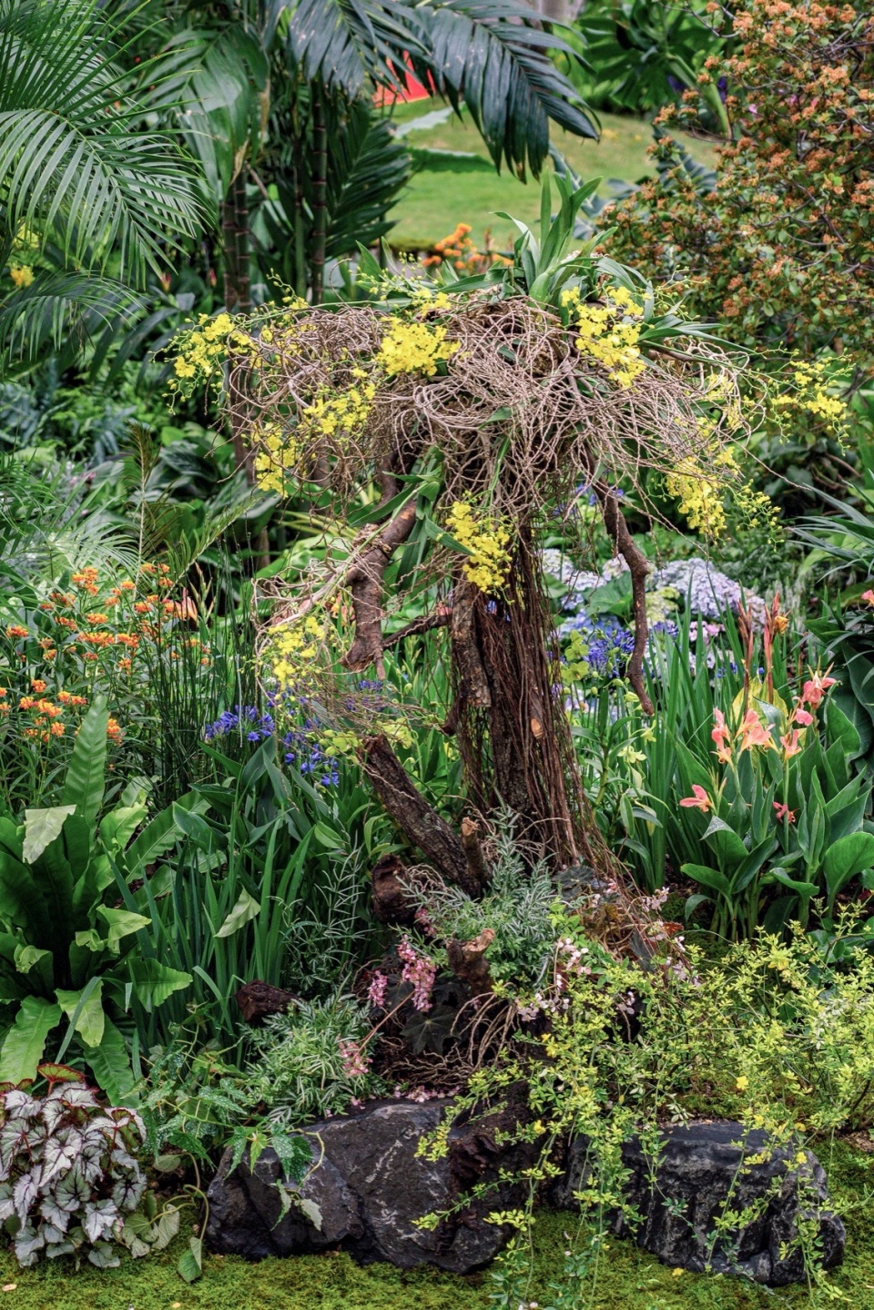 干花序等园林废弃物与附生植物的艺术小品 © 反光镜摄影Brightening features made with epiphytes and garden waste such as dried inflorescences © Reflector Studio