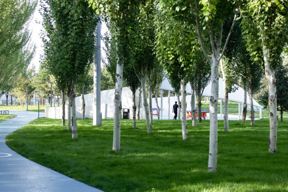 ©河狸景观摄影 ordos smart sports park by plat asia