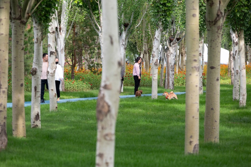 ©河狸景观摄影 ordos smart sports park by plat asia