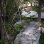 金桥曹家沟滨河景观更新设计，上海 / VIA维亚景观