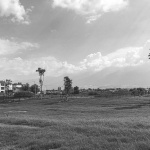 Service Station of the Ecological Corridor around Erhai Lake by 3andwich Design