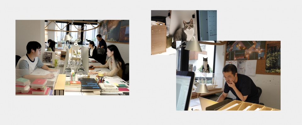 office fact no 37 lllab
