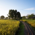 邛崃·丘山阅田园文化村 / 四川乐道景观设计有限公司