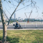进山的孩子，上海 / 大料建筑
