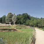 邛崃·丘山阅田园文化村 / 四川乐道景观设计有限公司