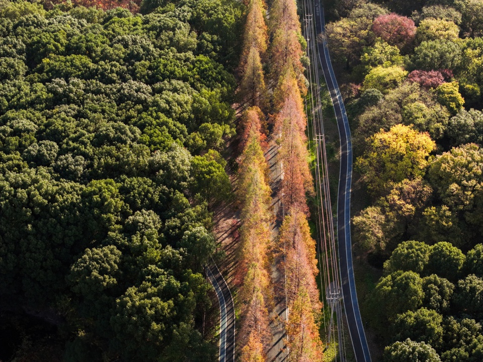 comprehensive improvement project of liuxia road in fangxia village qingpu district by yb landscape architecture design group