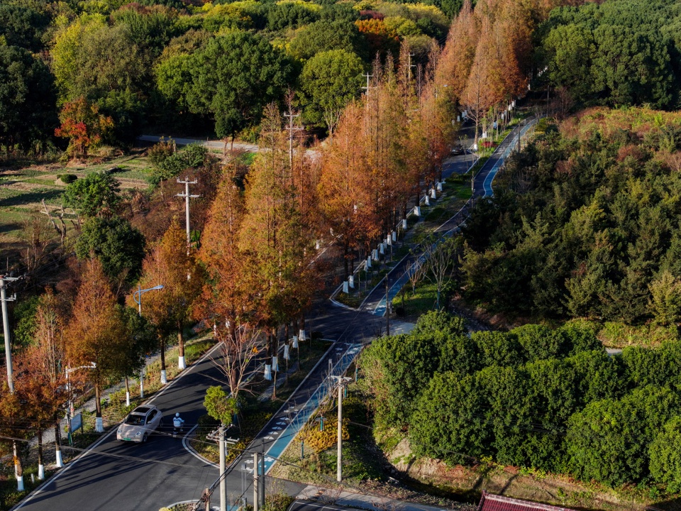 comprehensive improvement project of liuxia road in fangxia village qingpu district by yb landscape architecture design group