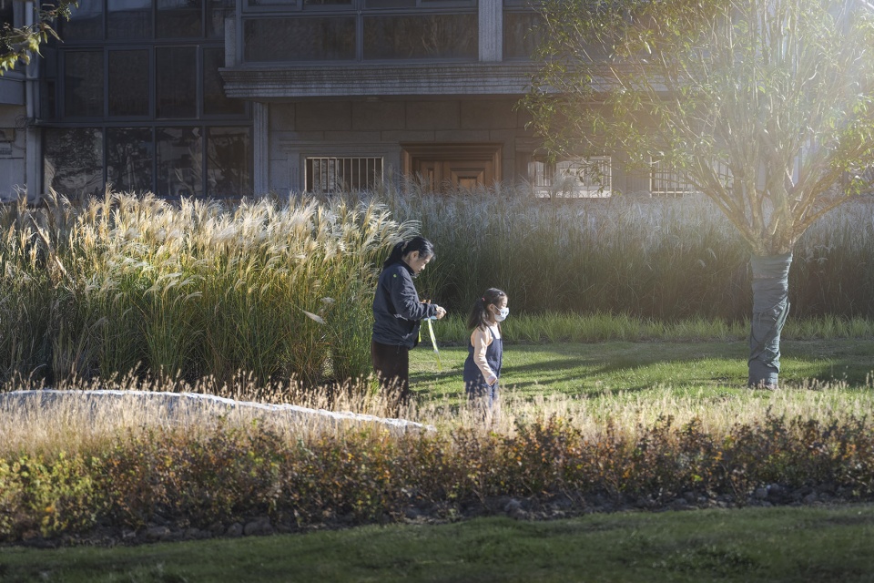 xinchang back garden renovation by udg china
