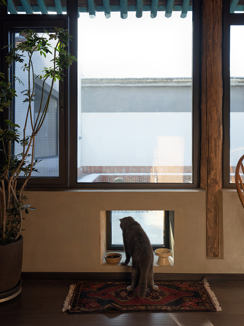winter country yard by linjian design studio