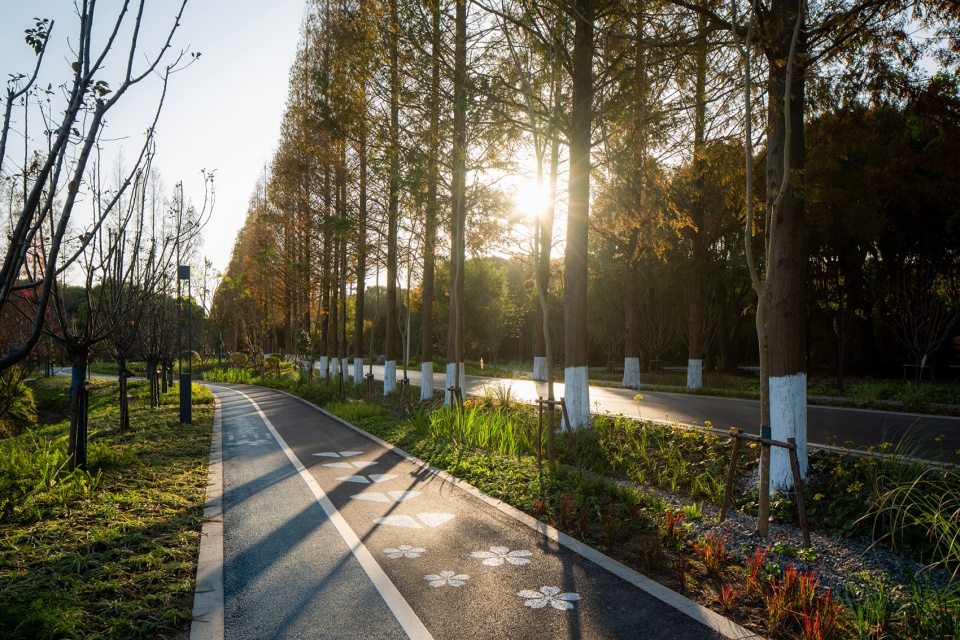 comprehensive improvement project of liuxia road in fangxia village qingpu district by yb landscape architecture design group