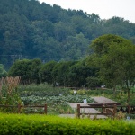 邛崃·丘山阅田园文化村 / 四川乐道景观设计有限公司