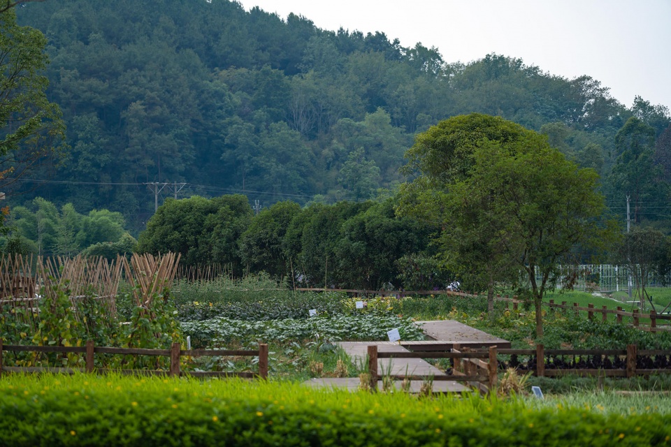 邛崃 丘山阅田园文化村 乐道景观